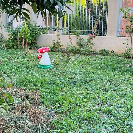 The One Private In Tirana